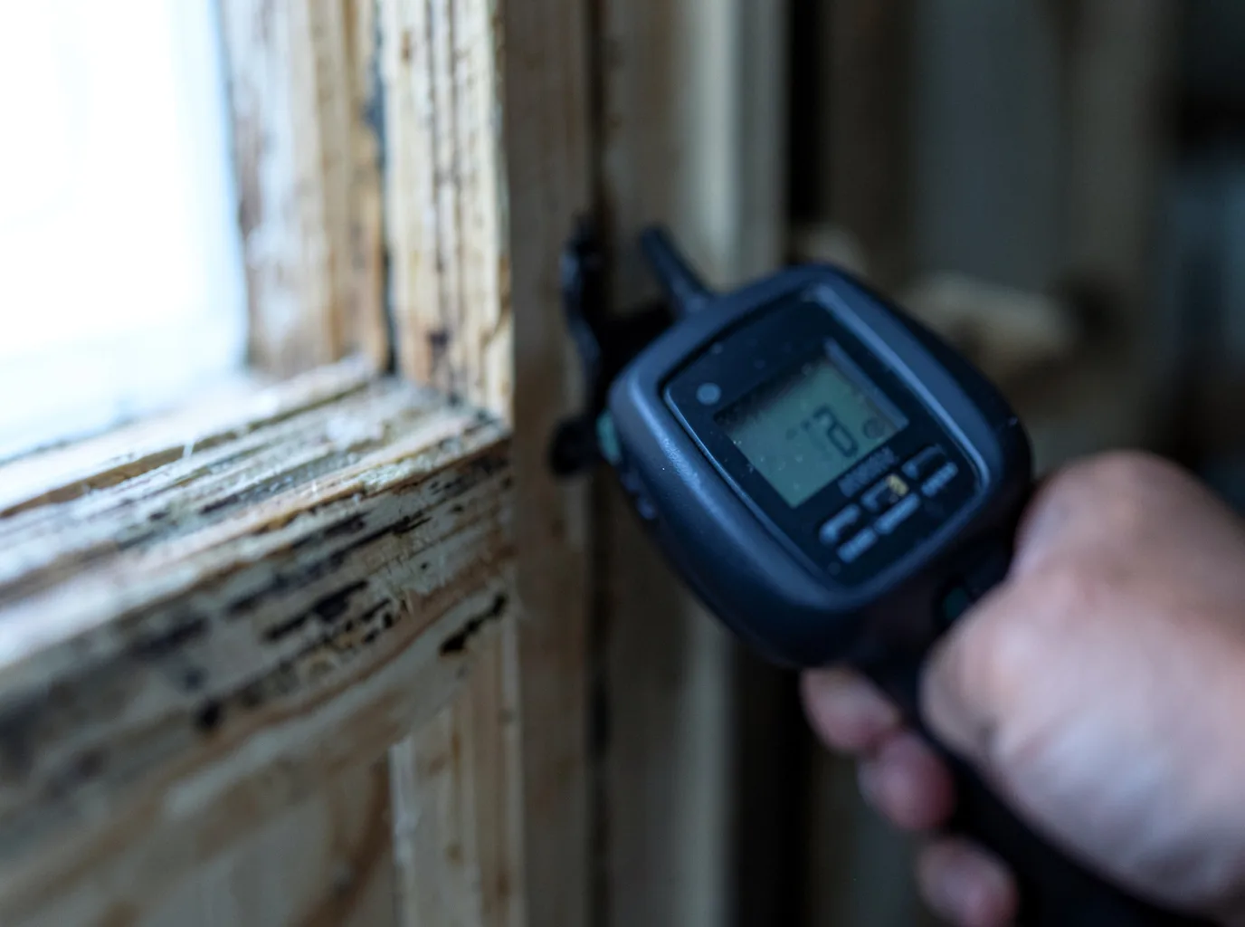 Moisture Inspection And Documentation in Koeltztown, MO